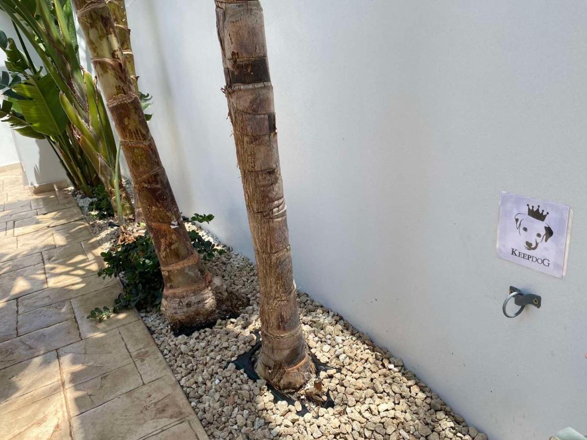 Villa Diana - 200 Meters From Kapparis, Fireman'S Beach Paralimni Exterior foto
